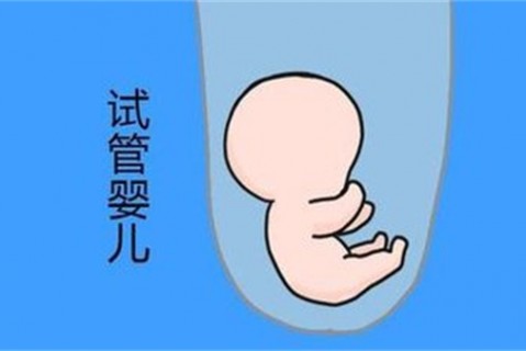 培养泉州捐卵宝宝艺术细胞的小技巧