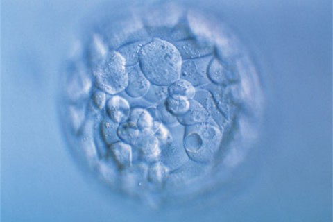 http://quanzhou.huochezhan.net/post/200.html|泉州新闻中心