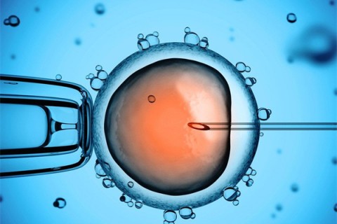 http://quanzhou.huochezhan.net/post/199.html|泉州供卵助孕